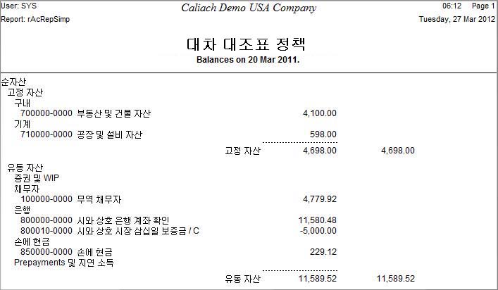 Example of Language Swap balance sheet in Korean
