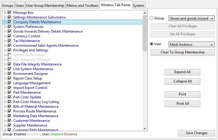 Privileges and Settings - Window Tab Panes pane
